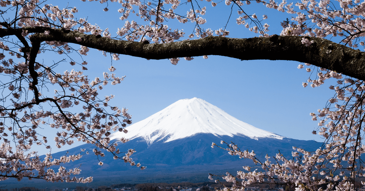 現代社会における独自の解決策の発見